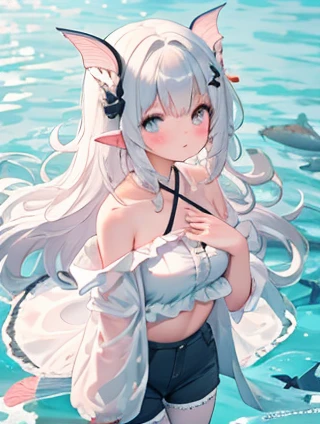 《购票的智慧：天脉网与火车票的奇妙旅程》